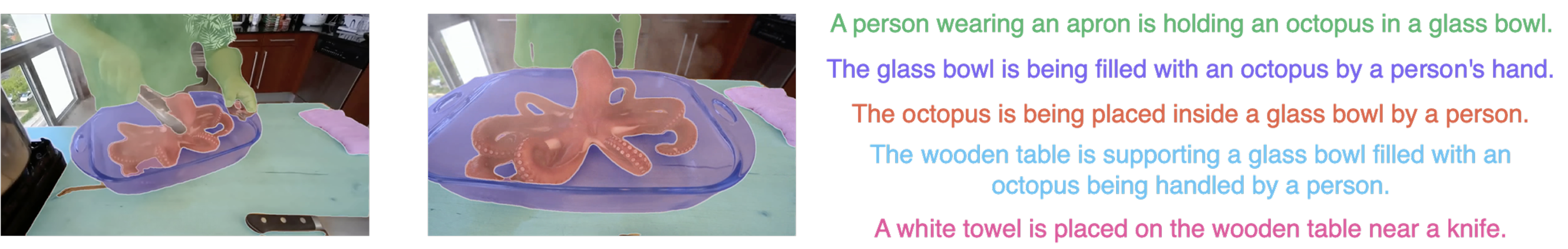 Qualitative result on LV-VIS: an octopus in a glass bowl with predicted per-object captions