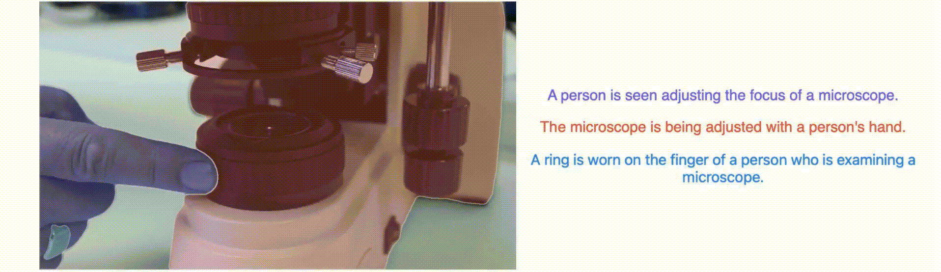 Teaser GIF